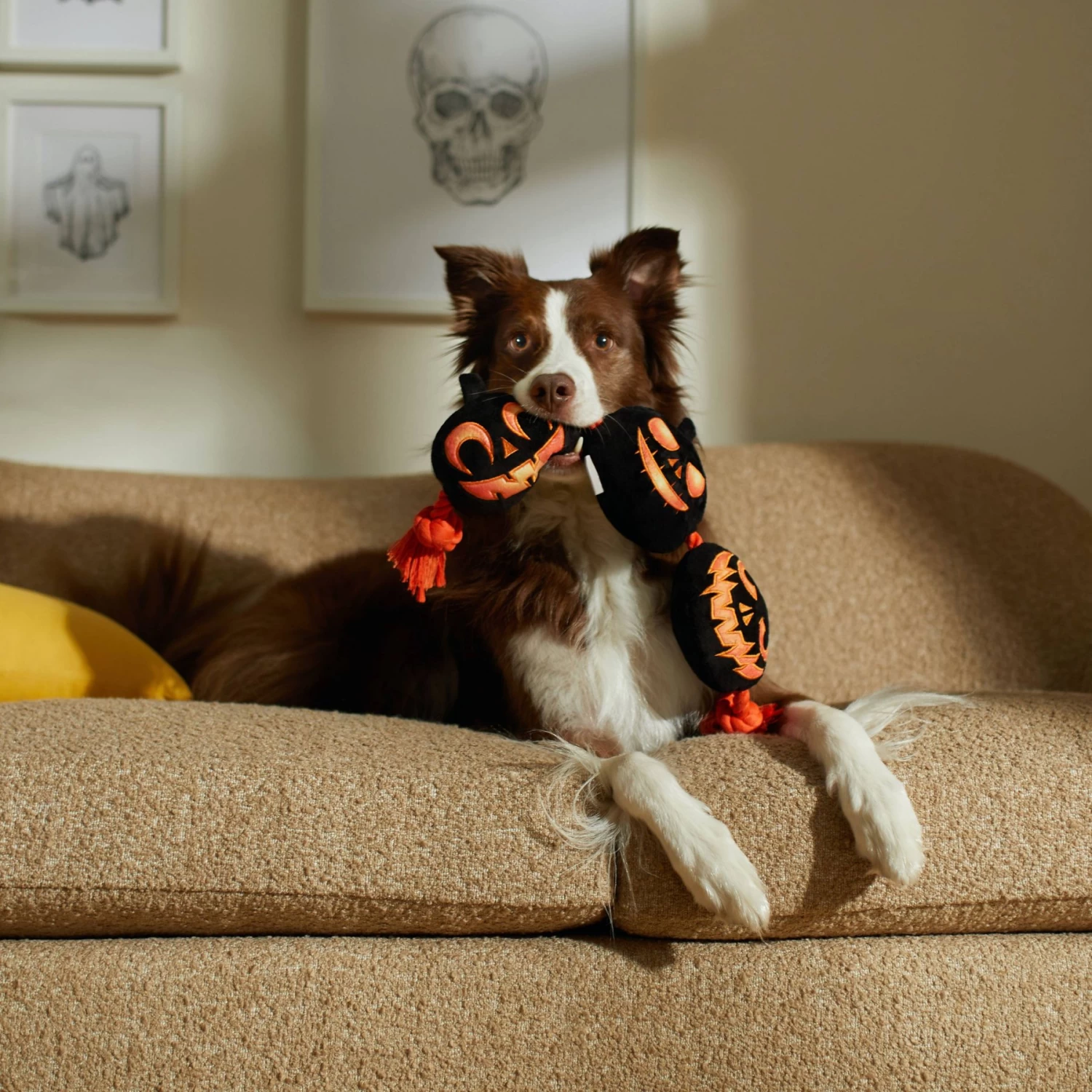Frisco Halloween Pumpkins Plush With Rope Squeaky Dog Toy - Image 3