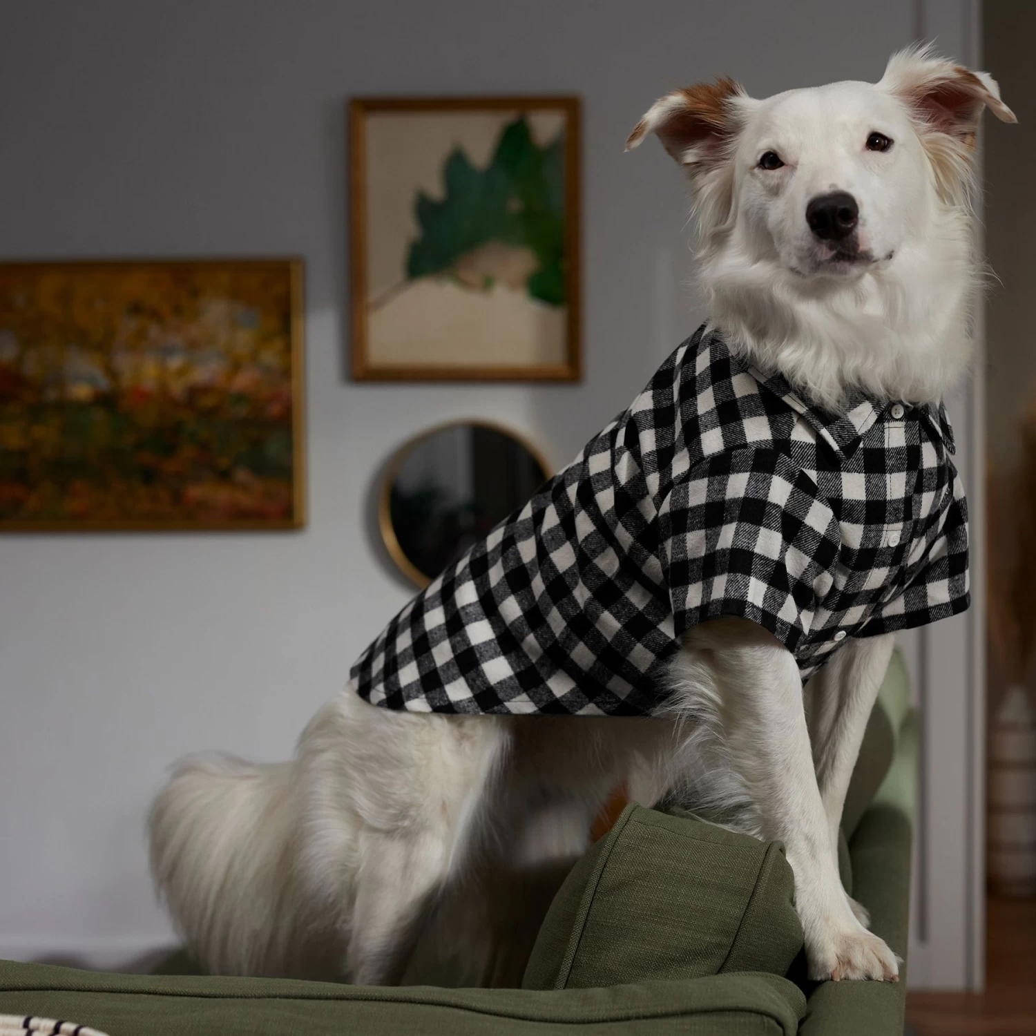 Frisco Black Plaid Dog & Cat Shirt - Image 8