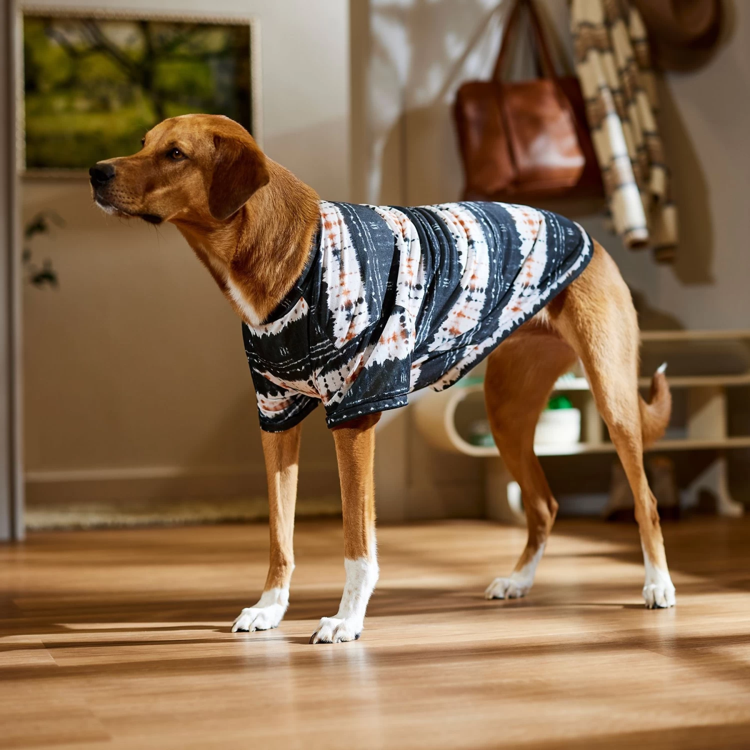 Frisco Wash Effect Dog & Cat T-Shirt - Image 6