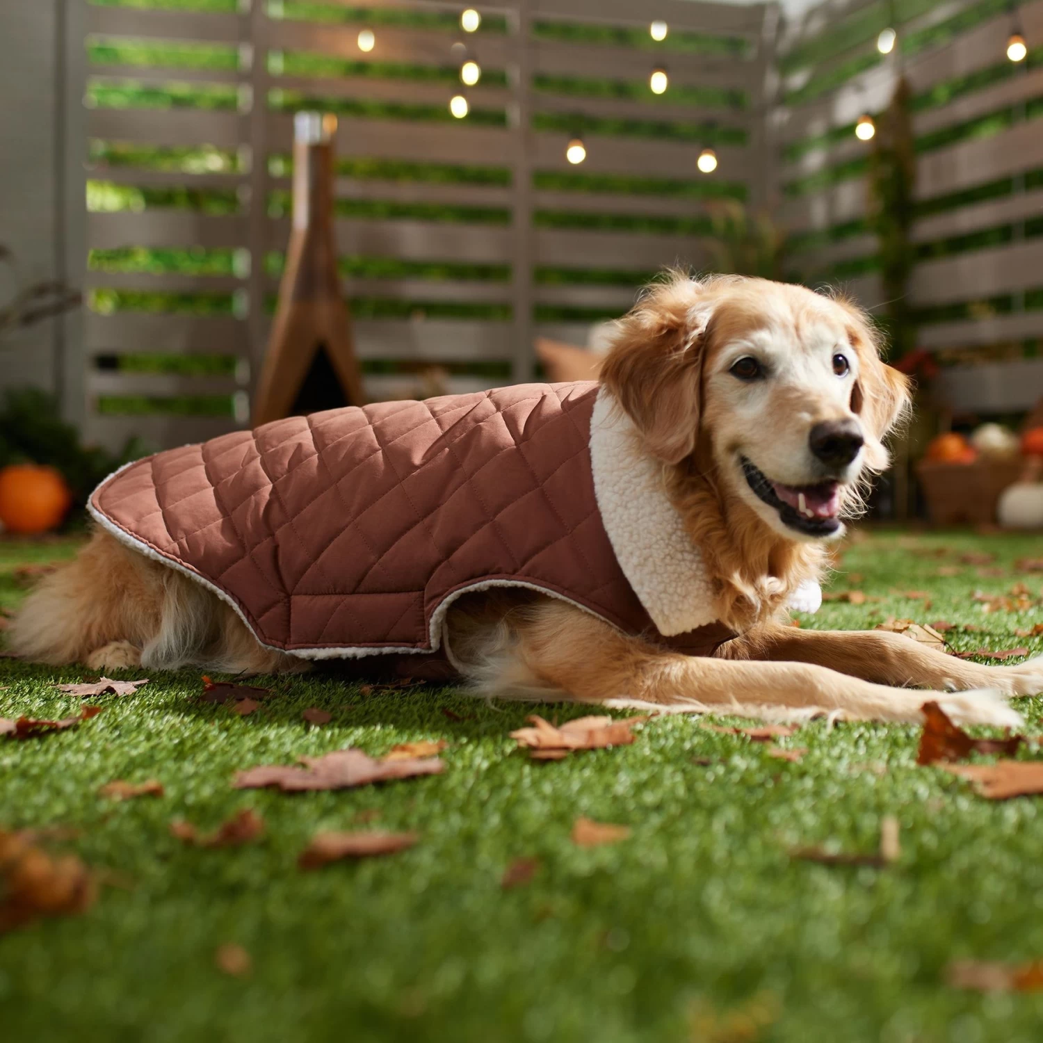 Frisco Mid-Heavyweight Fleece Lined Quilted Dog & Cat Coat - Image 7