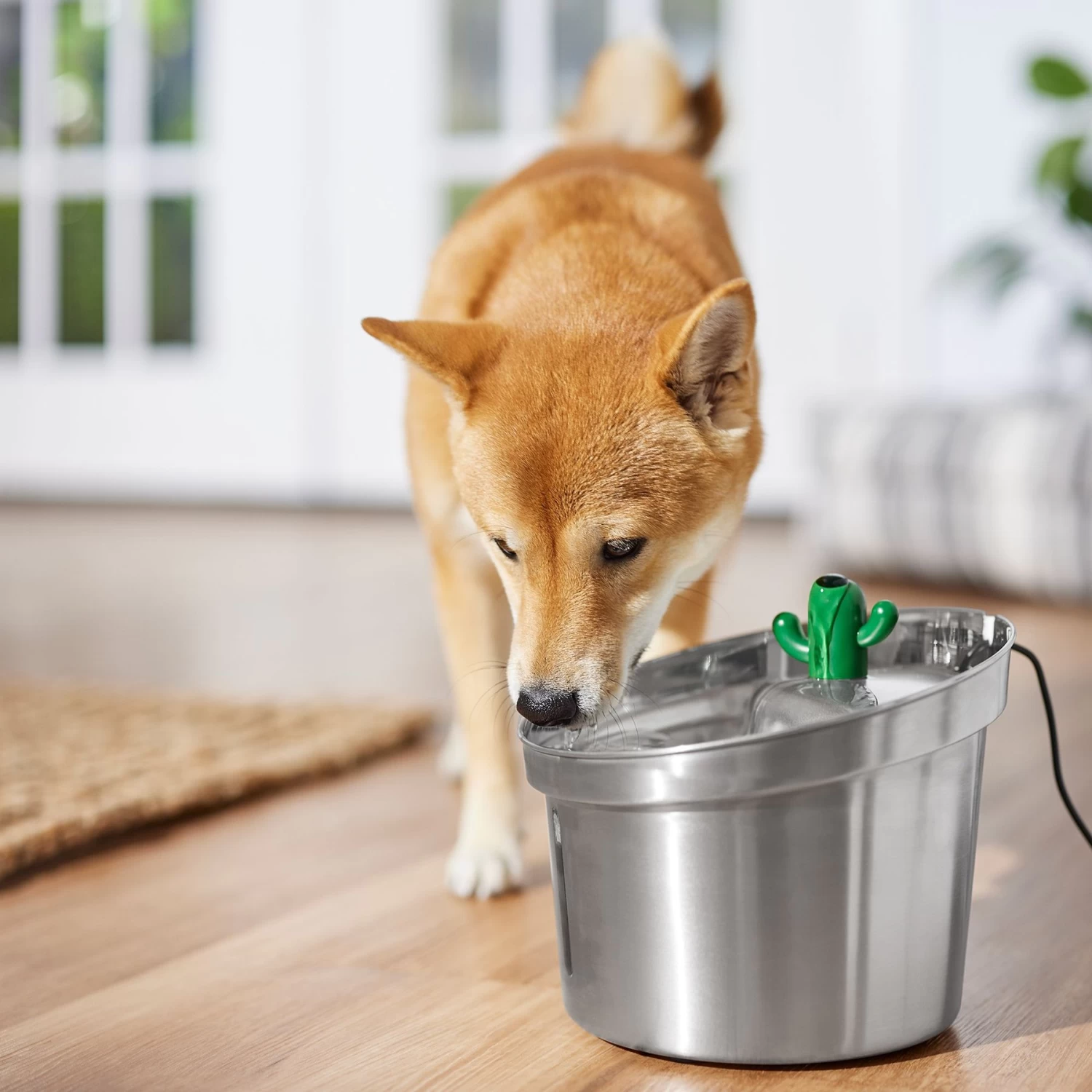 Frisco Stainless Steel Cactus & Leaf Dog & Cat Fountain - Image 6