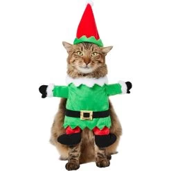 Frisco Front Walking Elf Dog & Cat Costume
