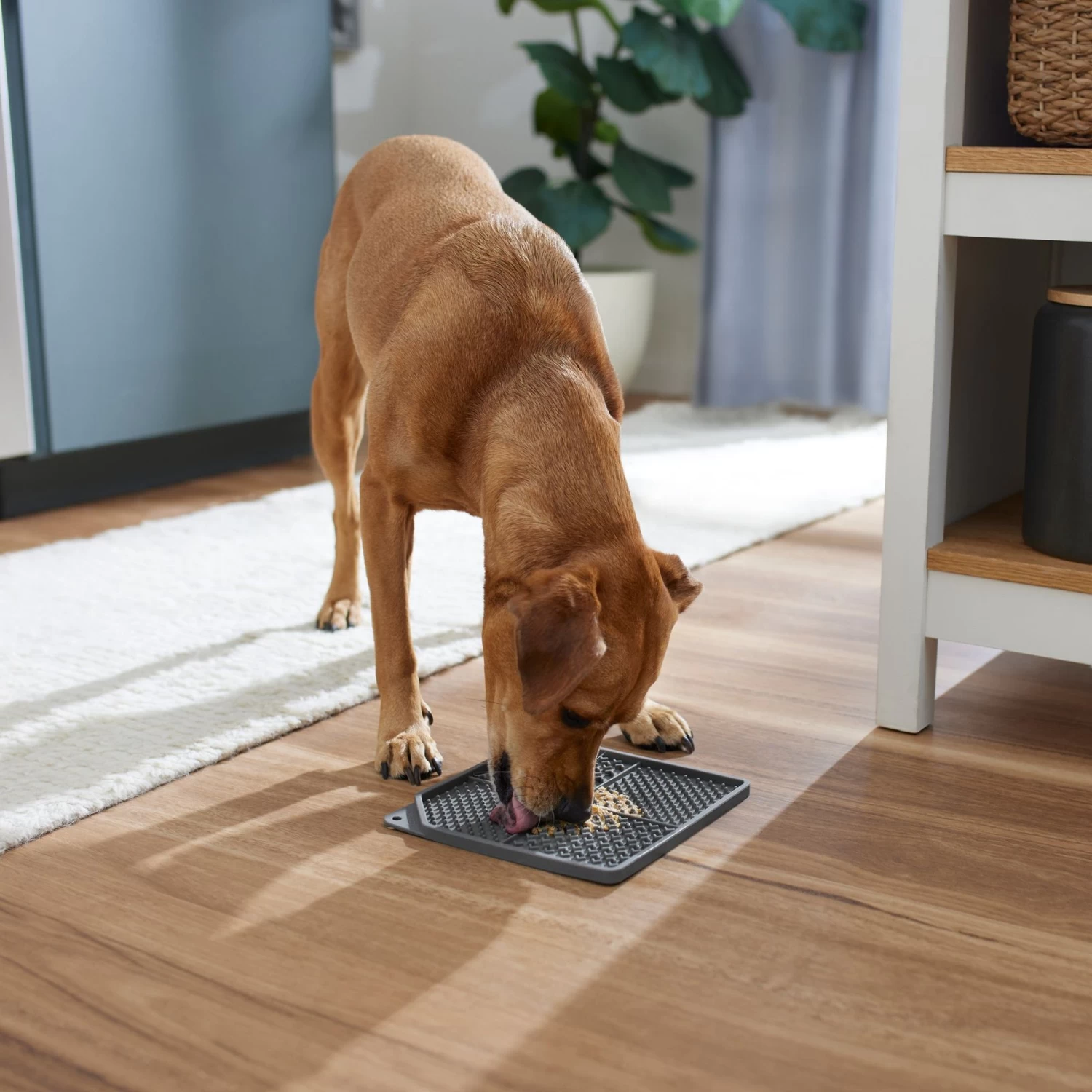 Frisco Non-skid Square Silicone Dog & Cat Lick Mat - Image 3