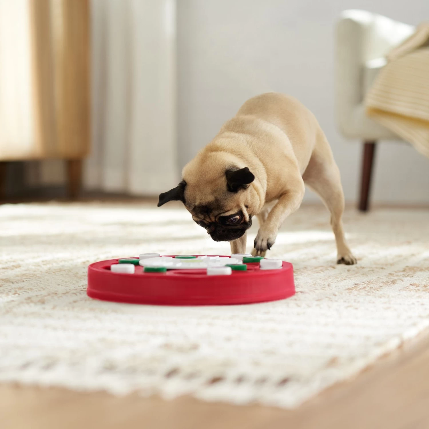 Frisco Bento Interactive Puzzle Dog Toy, Moderate - Image 6