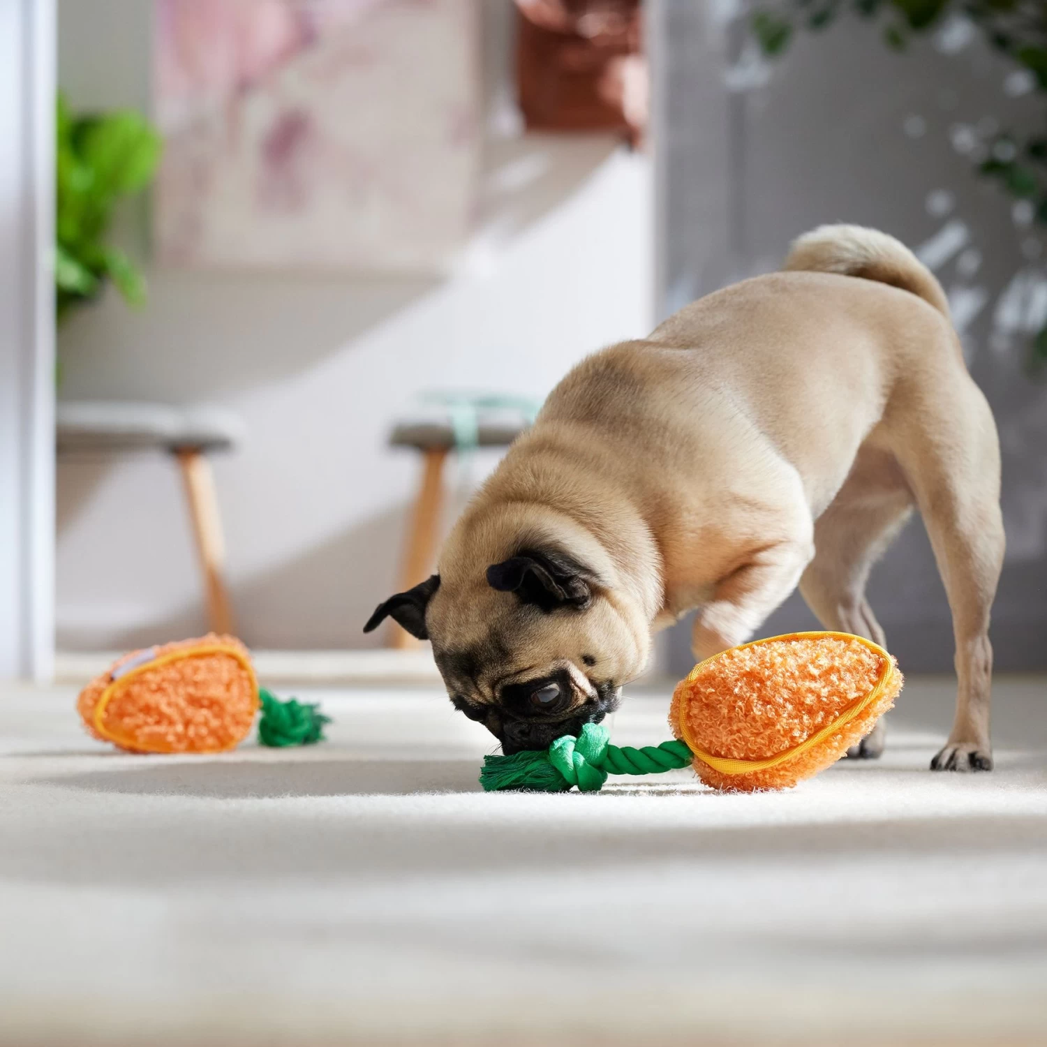 Frisco Easter Carrot Plush With Rope Squeaky Dog Toy - Image 4