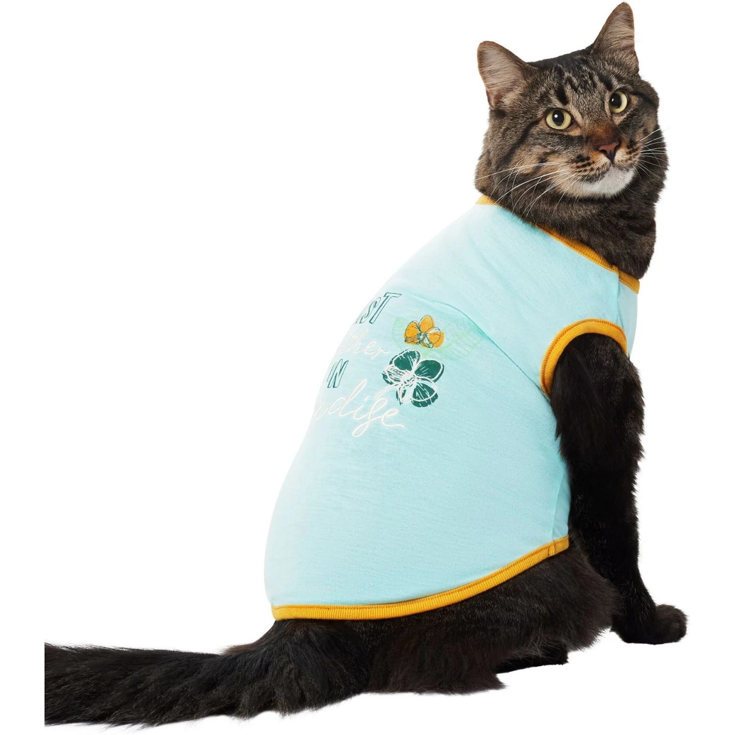 Frisco Just Another Day In Paradise Dog & Cat T-Shirt - Image 3