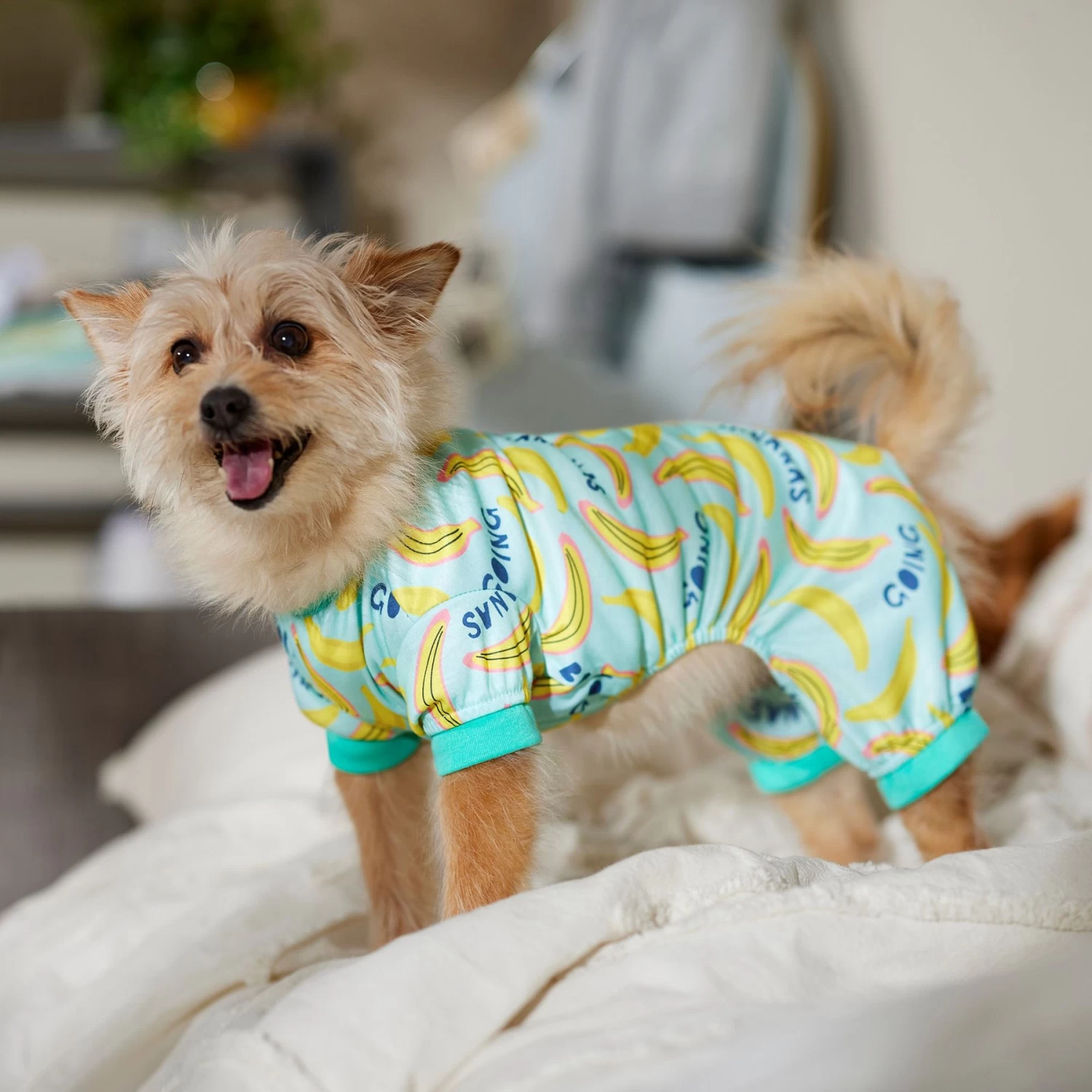 Frisco Go Bananas Dog & Cat Jersey PJs - Image 5