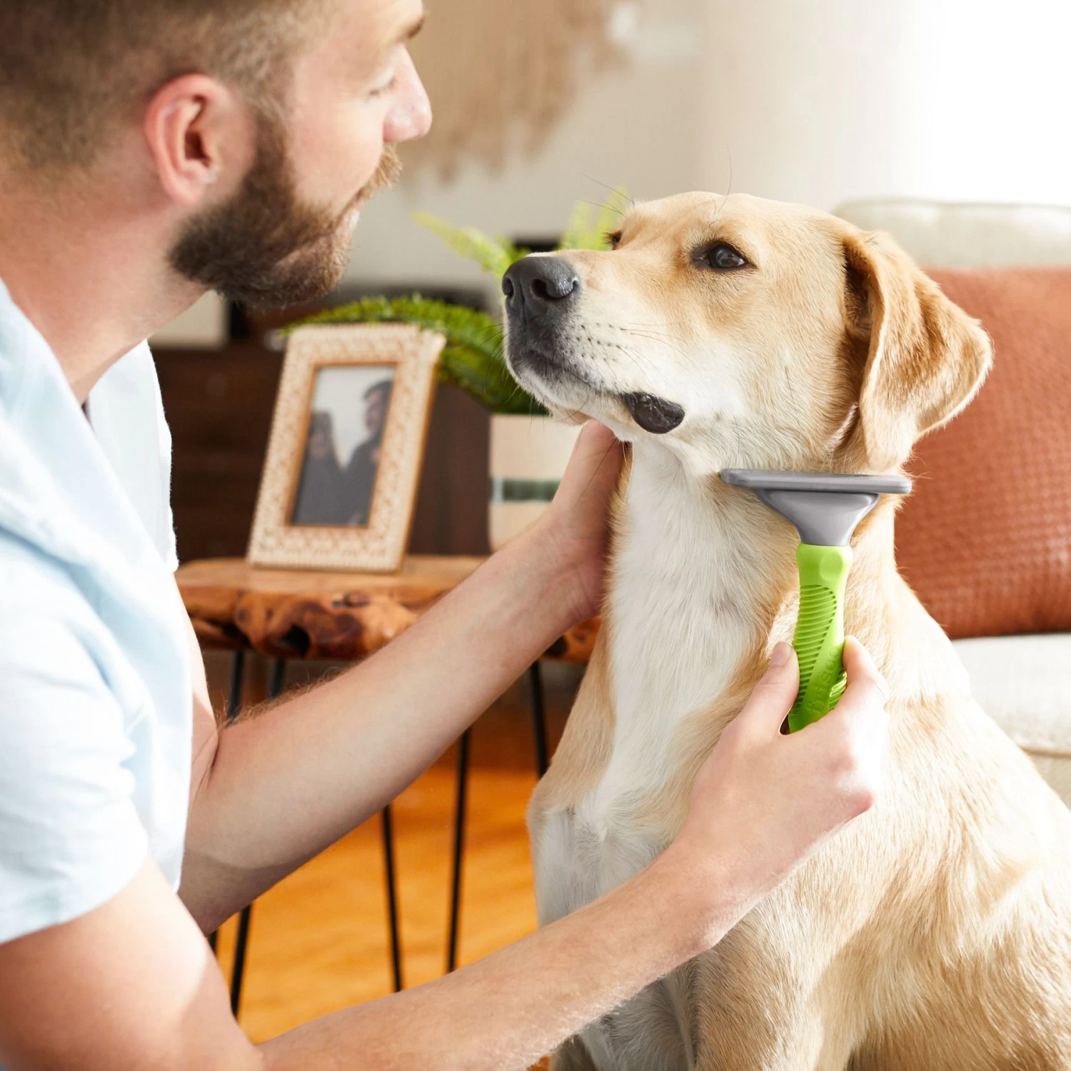 Frisco 71-in Faux Fur Cat Tree & Condo & Frisco Deshedding Dog & Cat Brush - Image 8