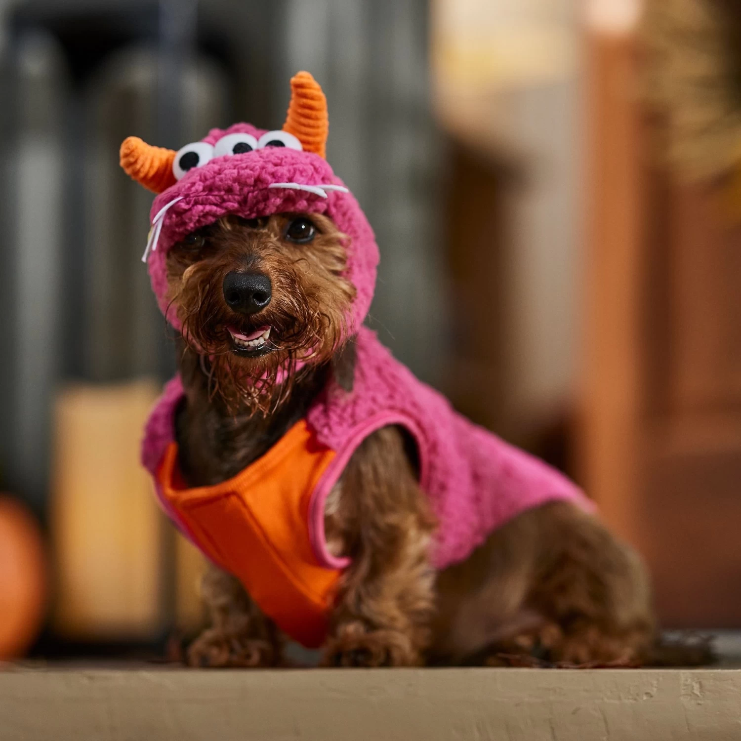 Frisco Zany Monster Dog & Cat Costume - Image 7