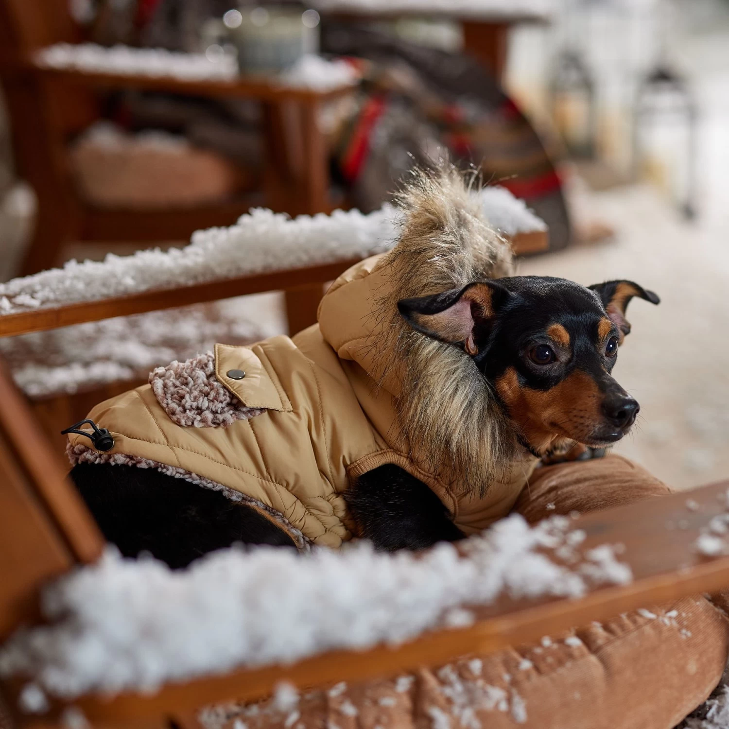 Frisco Heavy Weight Matte Quilted Dog & Cat Parka With Cozy Fleece Lining - Image 8