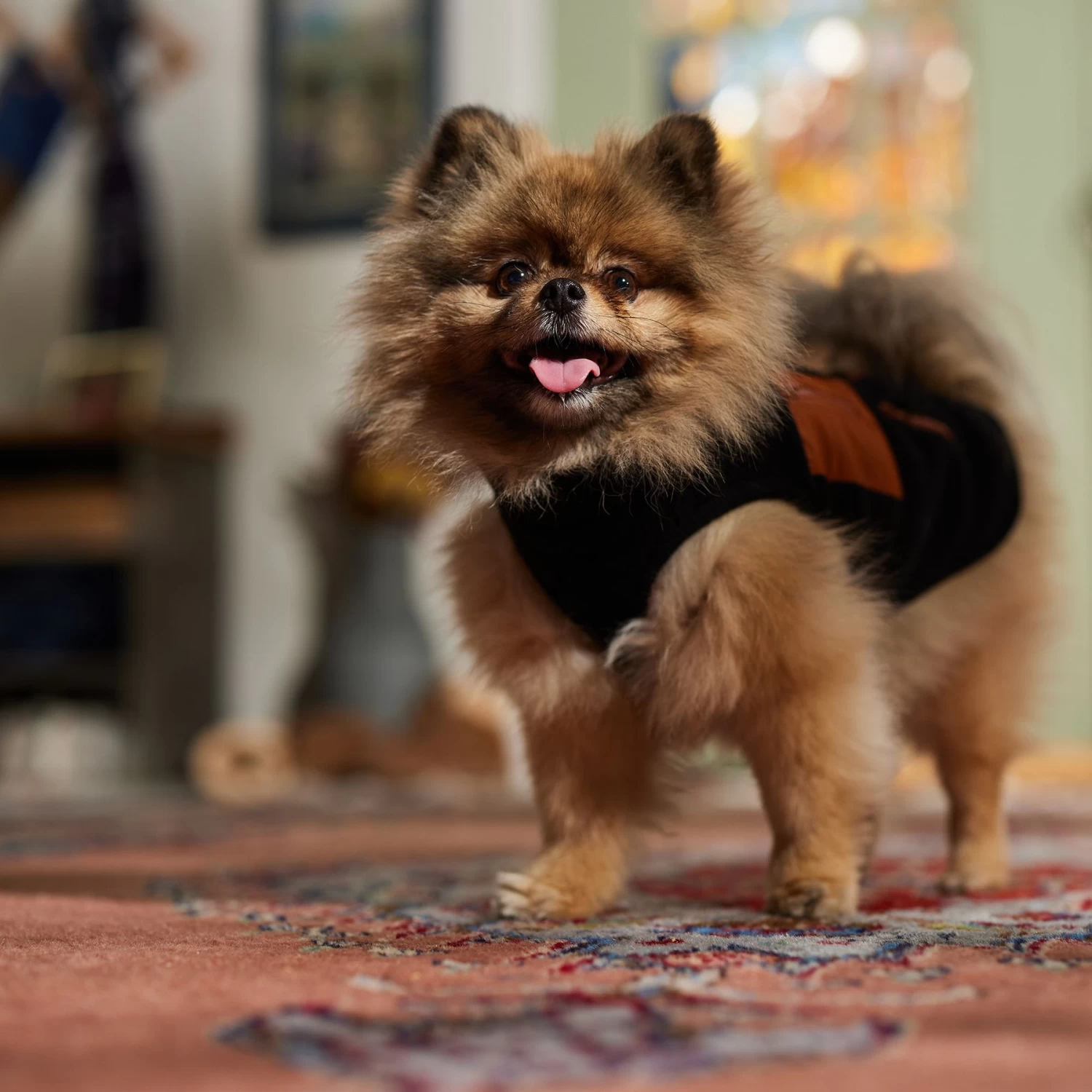 Frisco Light Weight Leopard Print Lined Fleece Dog & Cat Vest - Image 7