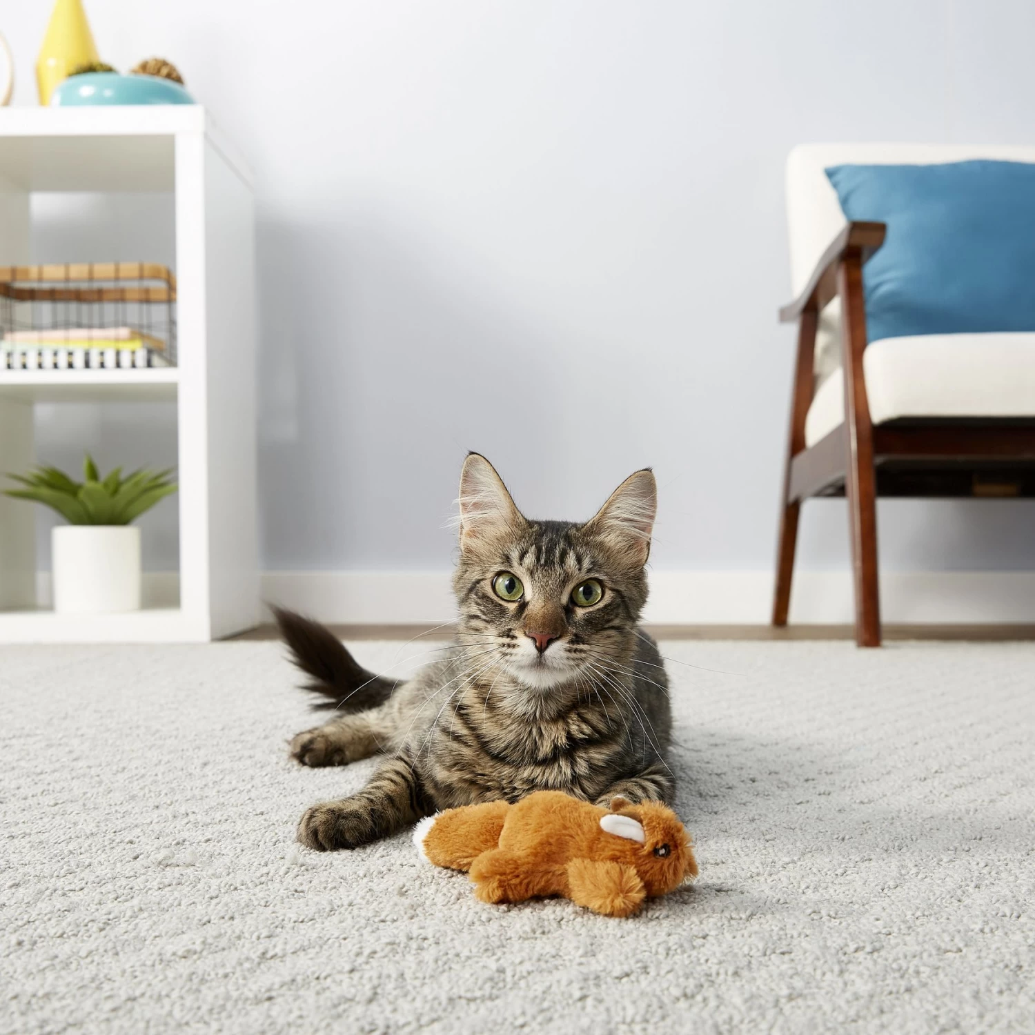 Hartz Delectables Squeeze Up Variety Pack Lickable Cat Treats & Frisco Squirrel Plush Cat Toy With Refillable Catnip - Image 8