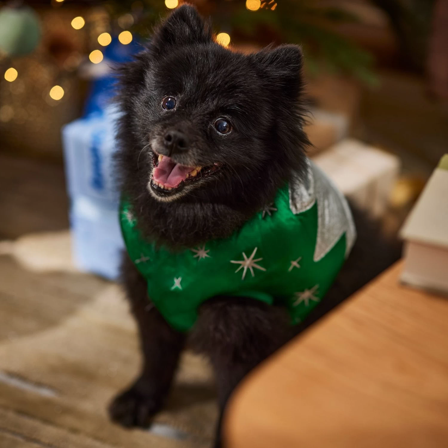 Frisco Ornament Dog & Cat Costume - Image 7