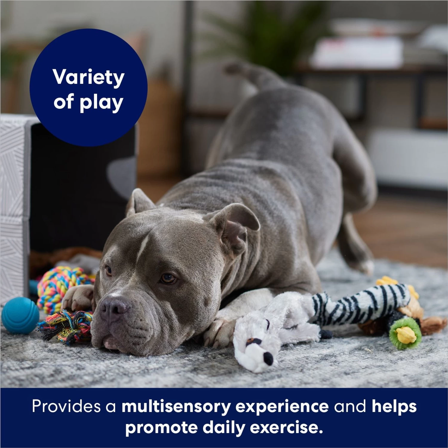 Frisco Forest Friends Plush, Rope & TPR Variety Pack Dog Toy - Image 4