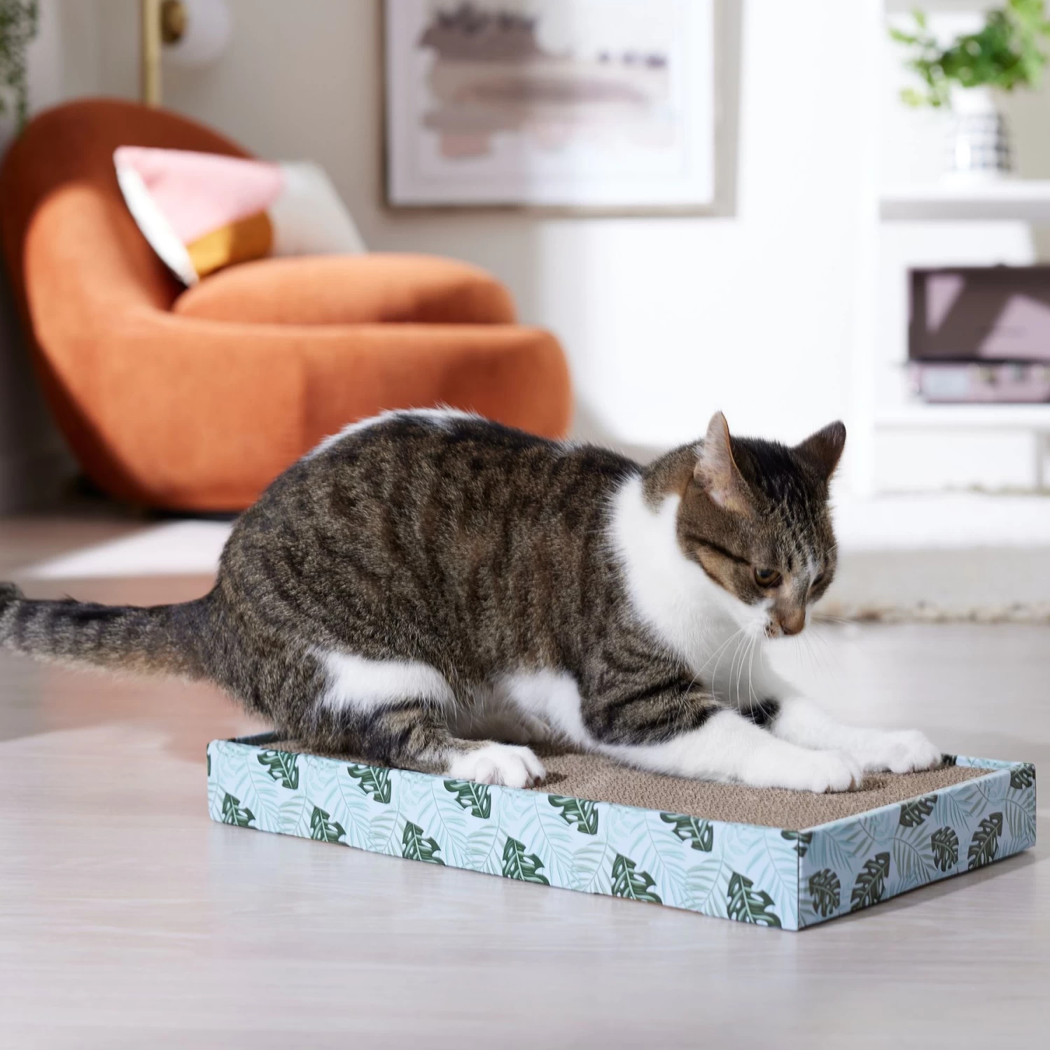 Frisco Double-Wide Cat Scratcher Toy With Catnip & Frisco Double-Wide Cat Scratcher Toy Refill With Catnip, 2 Count - Image 4