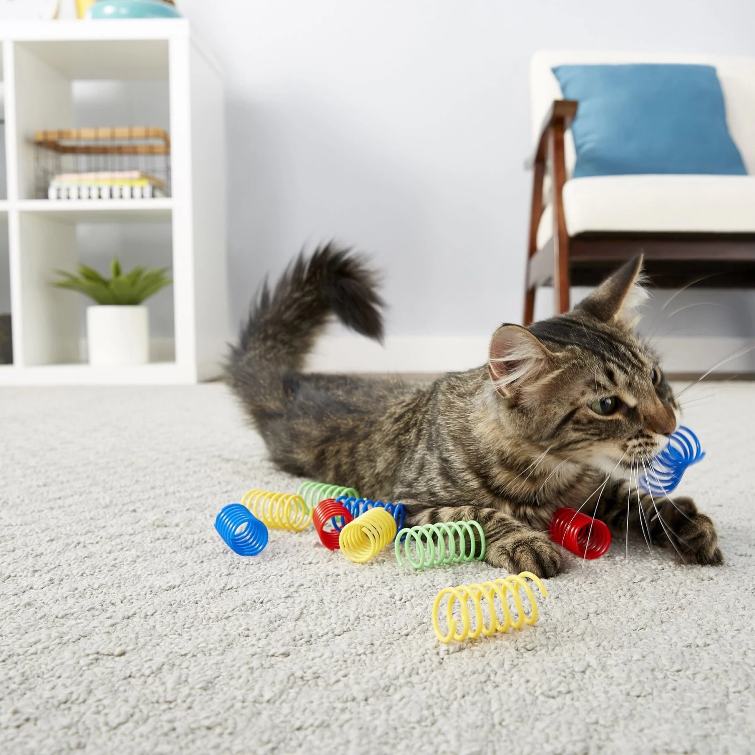 Frisco Colorful Springs Cat Toy & Frisco Bird With Feathers Teaser Wand Cat Toy With Catnip - Image 5