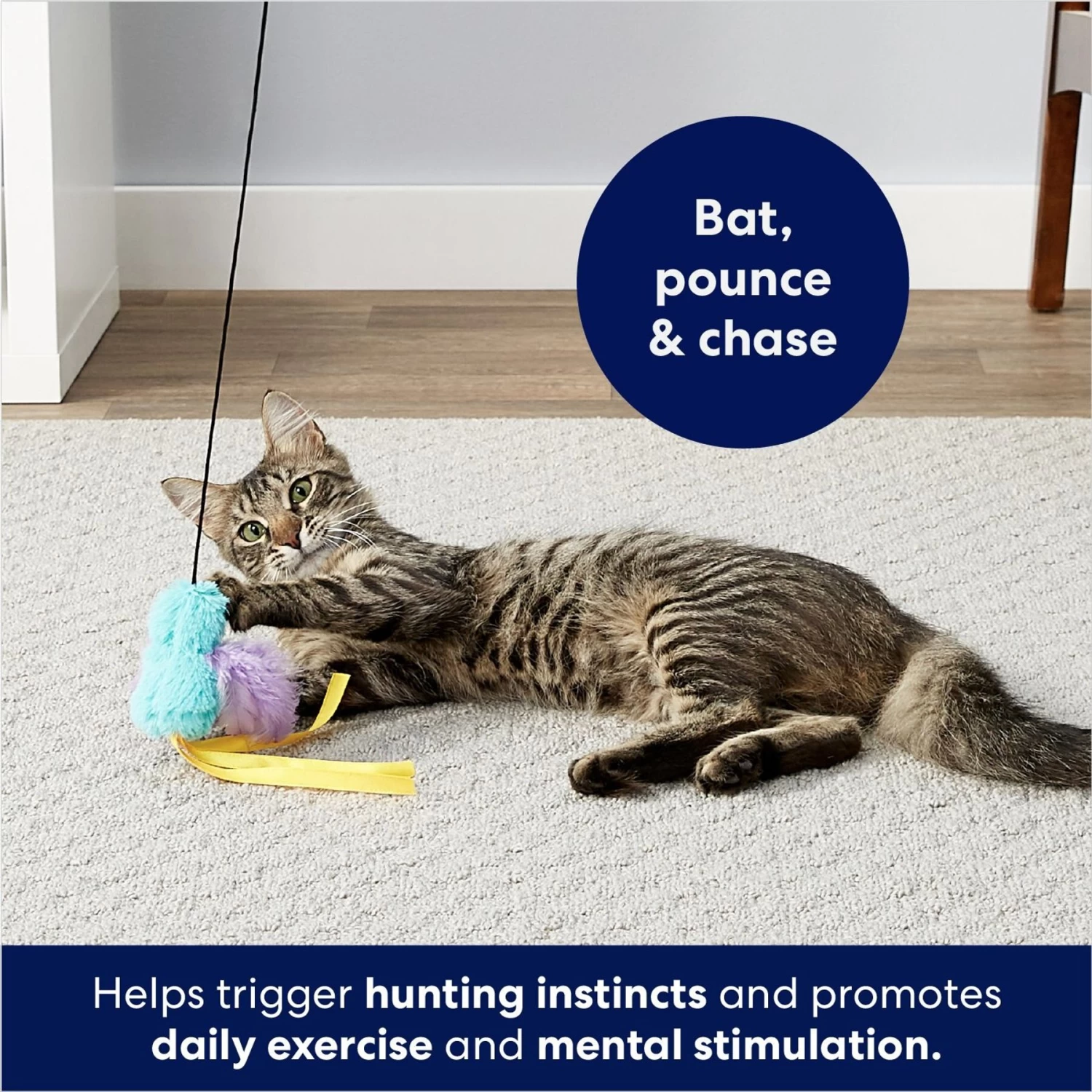 Frisco Colorful Springs Cat Toy & Frisco Bird With Feathers Teaser Wand Cat Toy With Catnip - Image 9